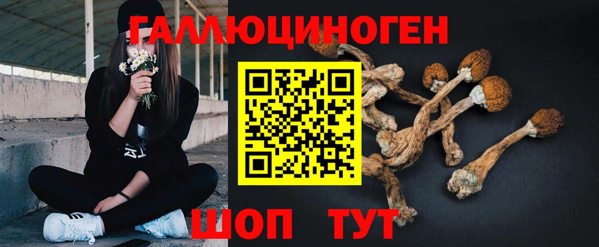 Галлюциногенные грибы Magic Shrooms Борзя